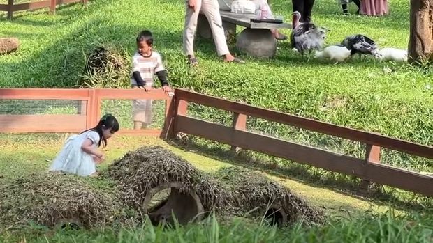 Taman K Pandaan Pasuruan: Wisata Bernuansa Korea dengan Wahana Seru, Glamping, hingga Edufarm