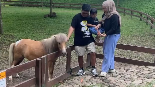Taman K Pandaan Pasuruan: Wisata Bernuansa Korea dengan Wahana Seru, Glamping, hingga Edufarm