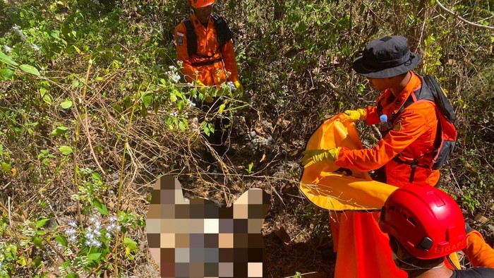 Tim SAR gabungan mengevakuasi mayat lansia yang hilang sejak pekan lalu di hutan Paliyan, Gunungkidul, Selasa (30/6/2026).