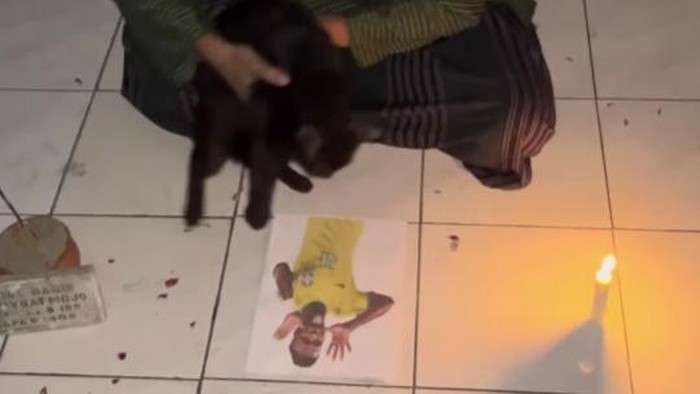 Sebelum laga Jepang vs Brasil, seorang netizen iseng meminta kucing hitam miliknya melompati foto Vini bolak-balik agar dia tak mencetak gol. Lah, berhasil.
