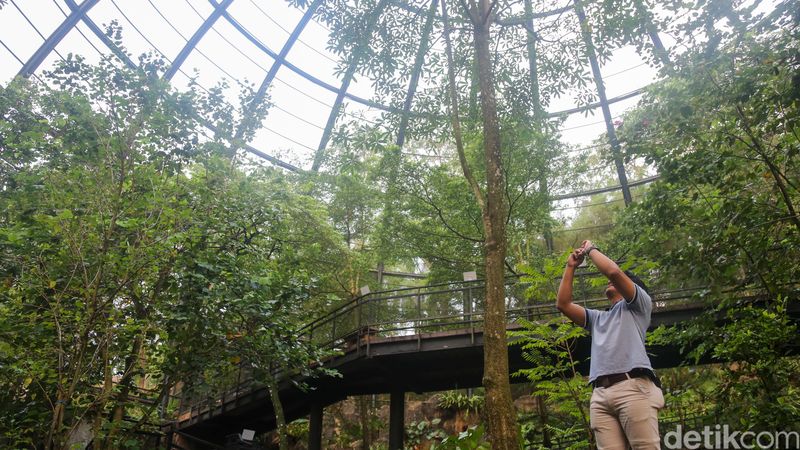 Aviary raksasa di Mercure Cibadak Sukabumi