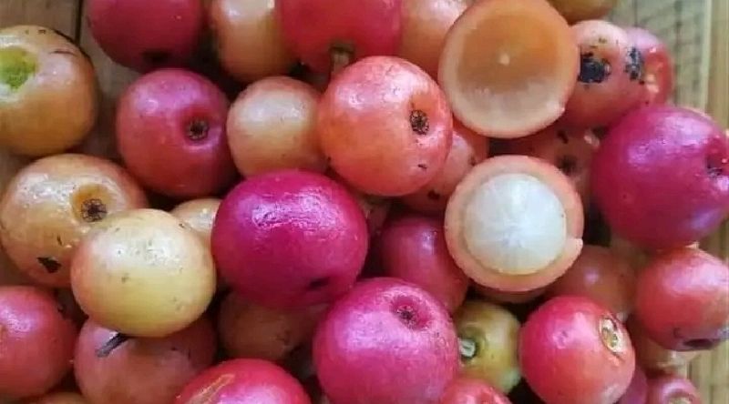 5 Buah Endemik Indonesia yang Tak Ditemukan di Negara Lain, Pernah Coba?