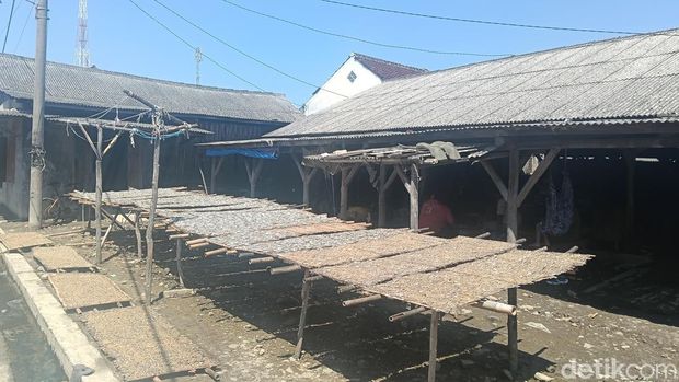 Deretan ikan asin dijemur di depan rumah produksi.
