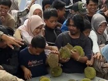 Pemkab Enrekang Kembalikan Uang Tiket Warga Usai Ricuh Festival Durian