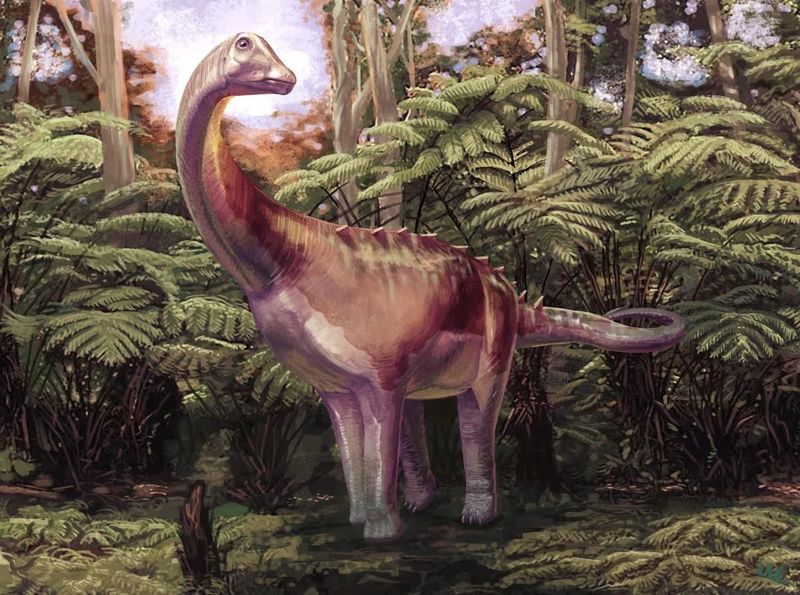 Fosil dinosaurus