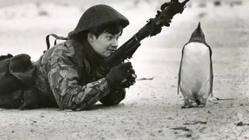 Foto: Boredpanda