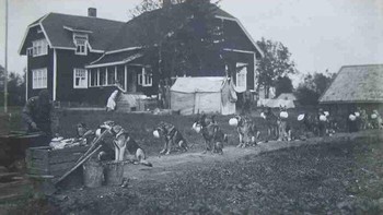 Deretan anjing penjaga perbatasan milik Finlandia duduk rapi sambil menunggu waktu makan pada tahun 1940. Anjing-anjing ini digunakan untuk membantu patroli dan pengawasan selama masa perang, menunjukkan peran penting hewan dalam operasi militer. Foto: Boredpanda