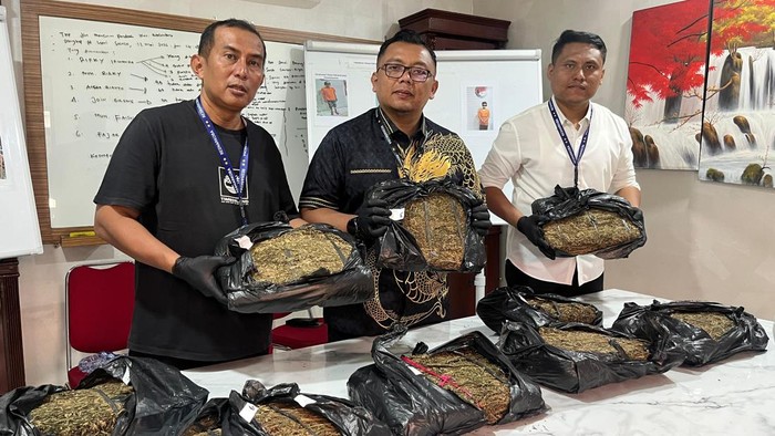Ganja yang disita polisi dari pelaku. (Foto: dok. Polrestabes Medan)