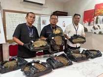 Bandar Narkoba di Deli Serdang Diringkus, Ganja Disimpan ke Semak-semak