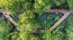 Hutan Kota Rorotan Jadi Oase Hijau di Utara Jakarta