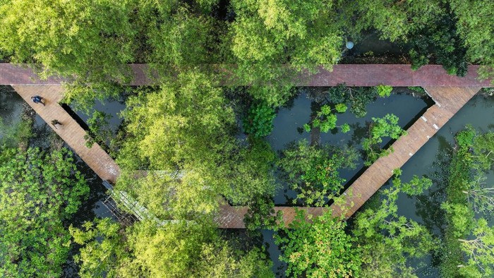 Pengunjung berjalan di Hutan Kota Rorotan, Cilincing, Jakarta Utara, Rabu (1/7/2026). Pemprov DKI Jakarta terus berupaya mewujudkan pemenuhan target ruang terbuka hijau (RTH) sebesar 30 persen hingga tahun 2045 yang saat ini mencapai 3.703,56 hektare atau 5,59 persen, meningkat dibandingkan dari tahun 2024, yakni 3.446 hektare atau 5,3 persen. ANTARA FOTO/M Risyal Hidayat/agr