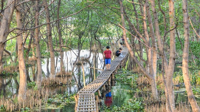 Pengunjung berjalan di Hutan Kota Rorotan, Cilincing, Jakarta Utara, Rabu (1/7/2026). Pemprov DKI Jakarta terus berupaya mewujudkan pemenuhan target ruang terbuka hijau (RTH) sebesar 30 persen hingga tahun 2045 yang saat ini mencapai 3.703,56 hektare atau 5,59 persen, meningkat dibandingkan dari tahun 2024, yakni 3.446 hektare atau 5,3 persen. ANTARA FOTO/M Risyal Hidayat/agr