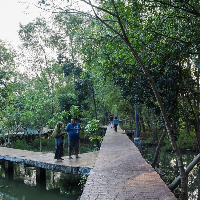 Hutan Kota Rorotan Jadi Oase Hijau di Utara Jakarta