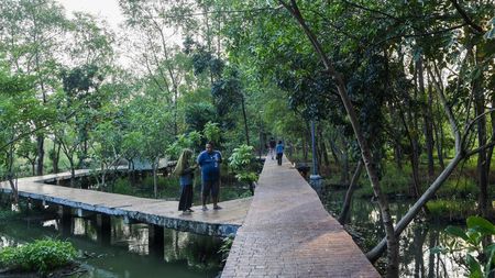 Hutan Kota Rorotan Jadi Oase Hijau di Utara Jakarta