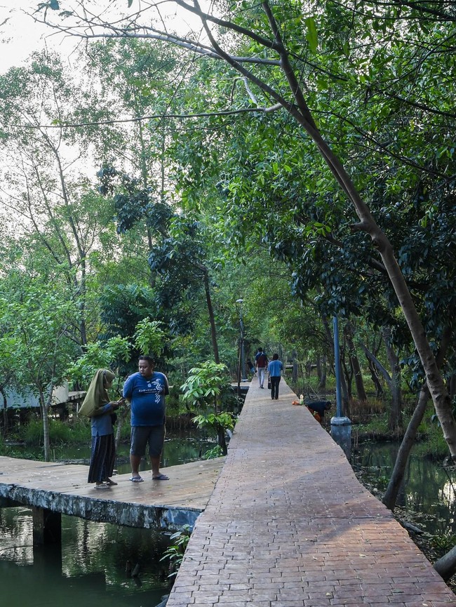 Hutan Kota Rorotan Jadi Oase Hijau di Utara Jakarta