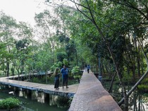 Hutan Kota Rorotan Jadi Oase Hijau di Utara Jakarta