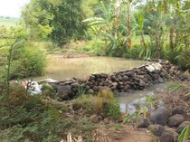9 Proyek JI-Bendung Ditarget untuk Irigasi 324,82 Ha Sawah di Mojokerto