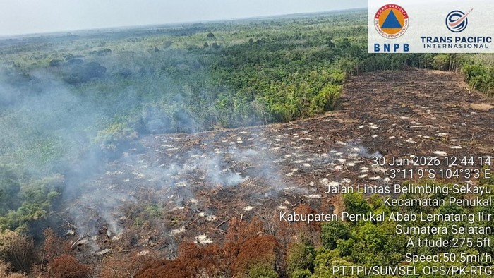 Karhutla di PALI diduga untuk penyiapan lahan kebun baru.