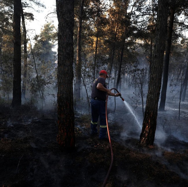 Kebakaran Hutan Dekati Permukiman, Petugas Berpacu Jinakkan Kobaran Api