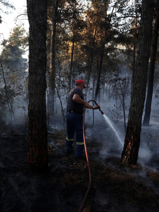 Kebakaran Hutan Dekati Permukiman, Petugas Berpacu Jinakkan Kobaran Api