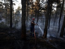 Kebakaran Hutan Dekati Permukiman, Petugas Berpacu Jinakkan Kobaran Api