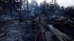 Kebakaran Hutan Dekati Permukiman, Petugas Berpacu Jinakkan Kobaran Api