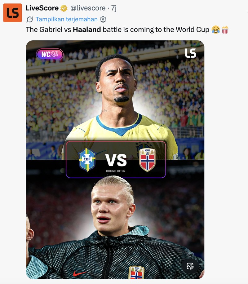 Meme Norwegia
