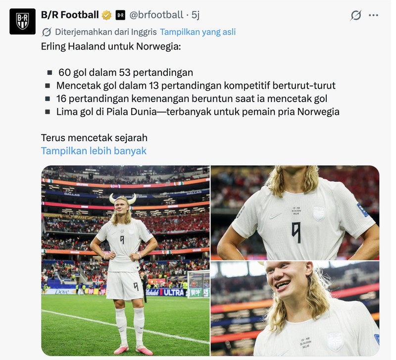 Meme Norwegia