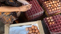 Harga pakan yang melonjak membuat para peternak harus mutar otak untuk bertahan.