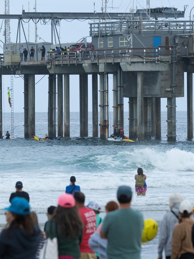 Lifeguard Muda San Diego Terjun dari Dermaga untuk Aksi Penggalangan Dana