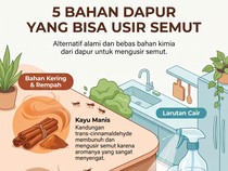 Infografis: 5 Bahan Dapur yang Ampuh Usir Semut di Rumah