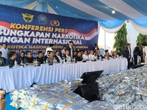 Bongkar Sindikat Kuncup Ganja 3,37 Ton, BNN Selamatkan 10 Juta Jiwa