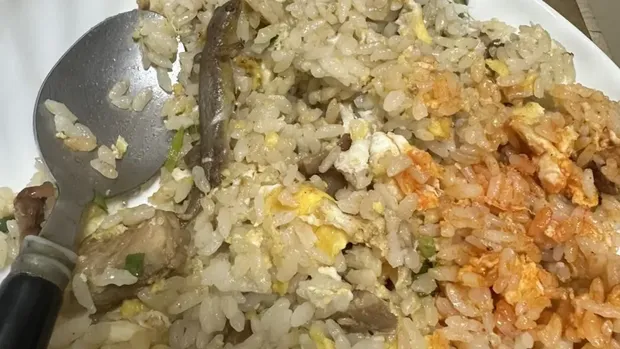 Cicak di nasi goreng