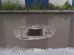 Tahan Emosi! Deretan Foto Ini Bikin Tak Habis Pikir, Kok Bisa?