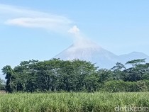 Gunung Semeru Erupsi Luncurkan Awan Panas Sejauh 3,5 Kilometer