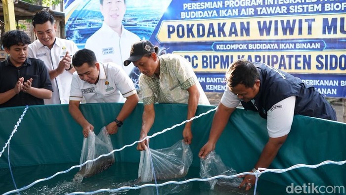 HIPMI Sidoarjo meresmikan Program Integrated Farming Budidaya Ikan Air Tawar Sistem Bioflok sebagai upaya memperkuat ketahanan pangan