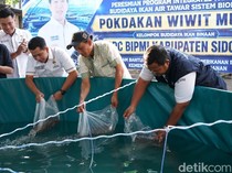 HIPMI Sidoarjo Perkuat Ketahanan Pangan dengan Bioflok