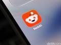 Reddit Kini Bisa Diakses Lagi di RI Setelah Bertahun-tahun Diblokir
