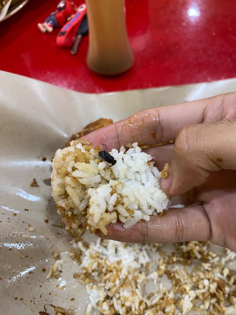 Makan Ayam Gepuk, Pria Ini Kaget Temukan Lalat Goreng di Nasi!