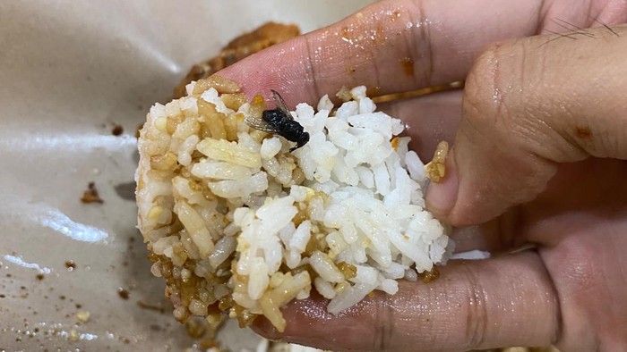 Makan Ayam Gepuk, Pria Ini Kaget Temukan Lalat Goreng di Nasi!