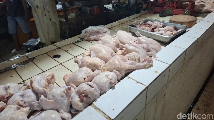 Suasana pedagang ayam dan telur yang harga jualnya menurun di Pasar Beringharjo Jogja, Kamis (2/7/2026).