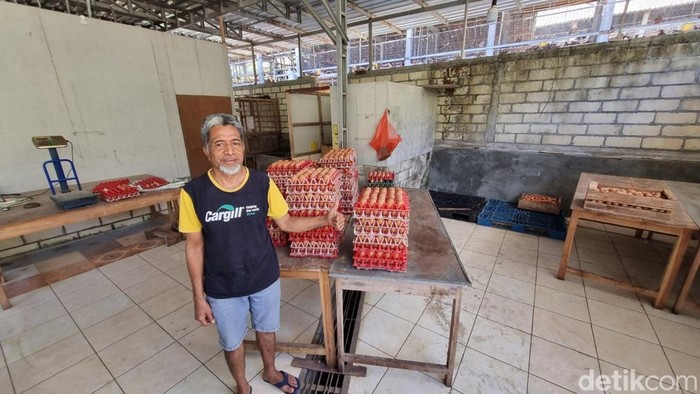 Peternak ayam petelur,  Joao Paulo Cardoso  di Siraman, Wonosari, Gunungkidul, Kamis (2/7/2026).