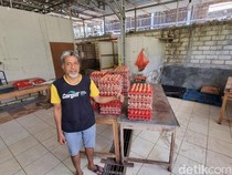 Peternak Gunungkidul Sambat Pakan Mahal Saat Telur Anjlok Imbas MBG Libur
