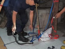 Pawang Ular Gagal, Damkar Turun Tangan Tangkap Kobra di Rumah Warga Boyolali