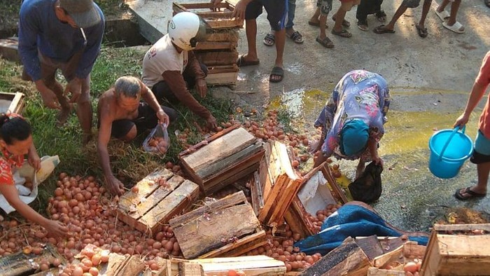 Sejumlah warga mengambil muatan telur milik Arif yang terguling usai mengalami kecelakaan tunggal di Desa Kutawis, Kecamatan Bukateja, Kabupaten Purbalingga.