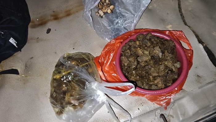 Daging tapir yang dimasak rica-rica oleh para pelaku di Mesuji, Lampung