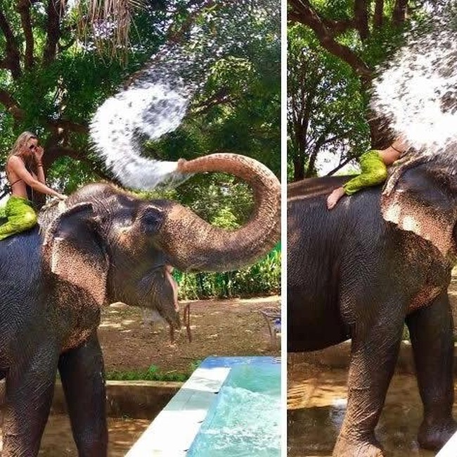 Detik-Detik Sebelum Apes, Foto Ini Bikin Susah Nahan Tawa