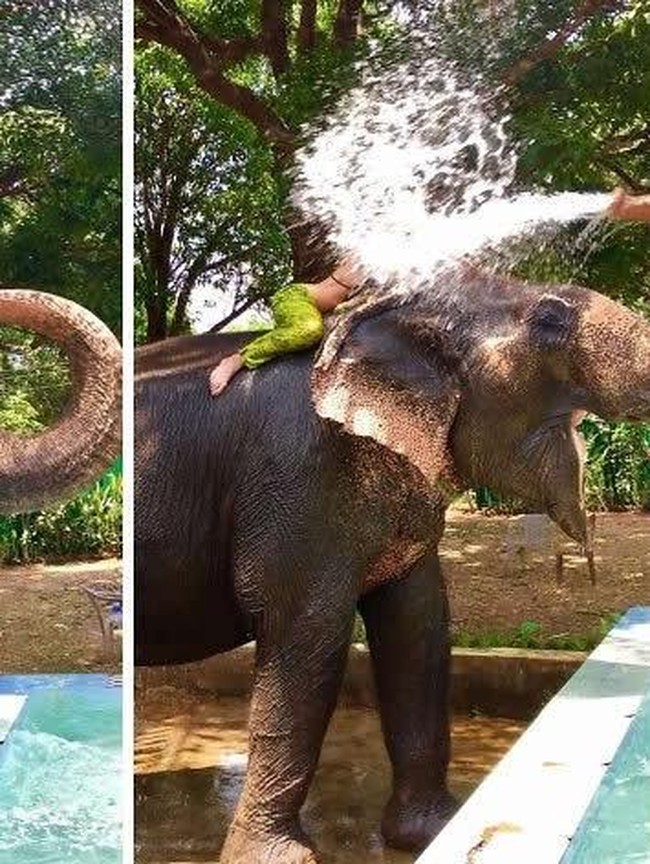 Detik-Detik Sebelum Apes, Foto Ini Bikin Susah Nahan Tawa