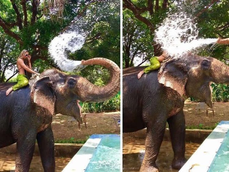Detik-Detik Sebelum Apes, Foto Ini Bikin Susah Nahan Tawa