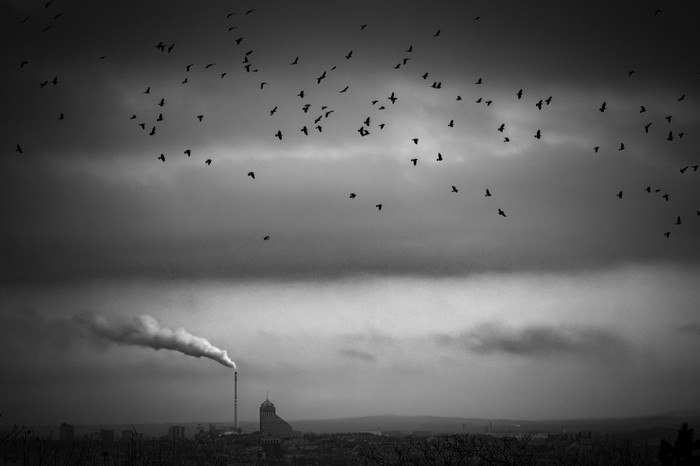 Keren! 16 Foto Pemenang Penghargaan Ini Dijepret Pakai iPhone